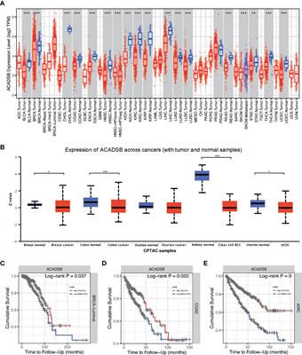 Decreased Expression of ACADSB Predicts Poor Prognosis in Clear Cell Renal Cell Carcinoma